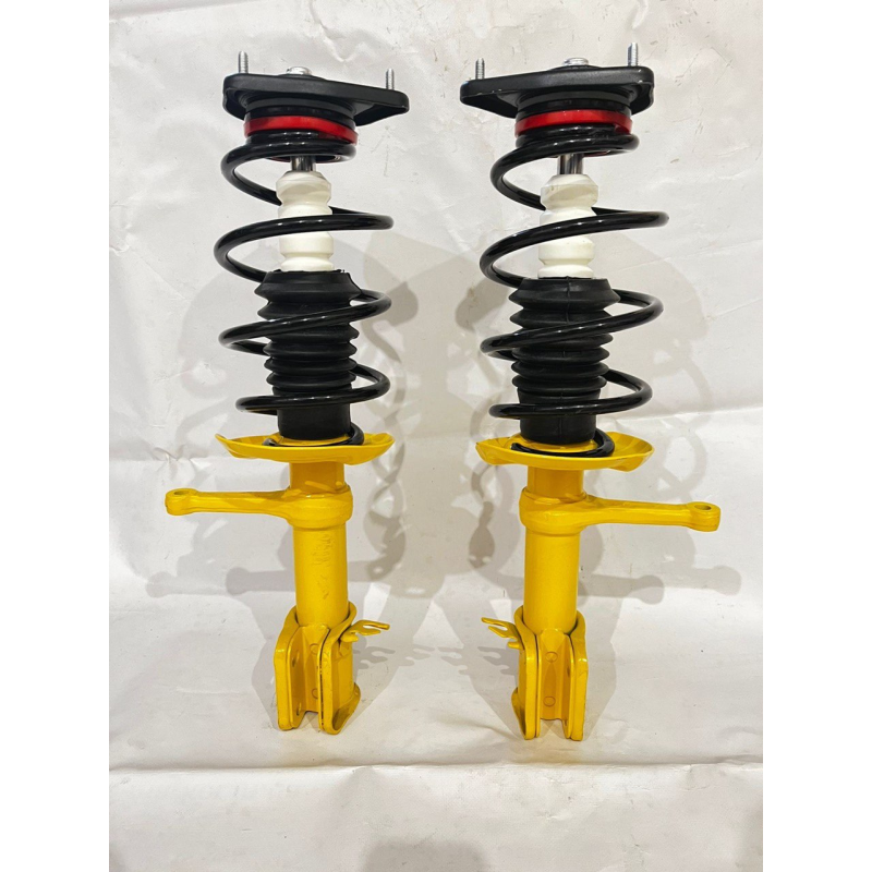 Стійки  з пружинами і опорами(в зборі)ВАЗ Калина 1117,1118,1119