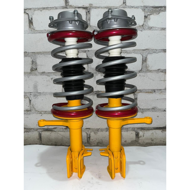 Стійки в зборі ВАЗ 2110,2111,2112 Газомаслянні  Спорт